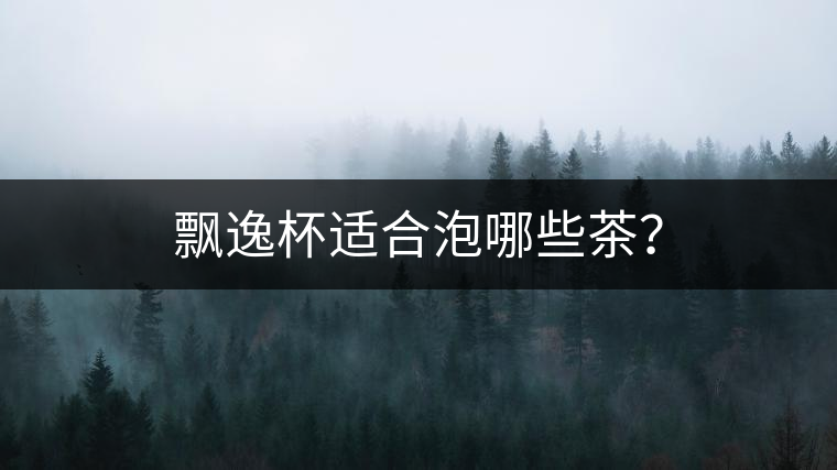 飄逸杯適合泡哪些茶？