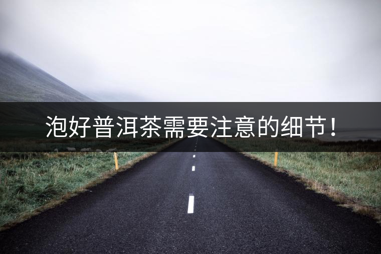泡好普洱茶需要注意的細節(jié)！