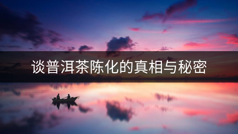 談普洱茶陳化的真相與秘密