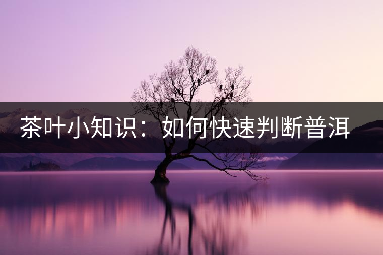 茶葉小知識(shí)：如何快速判斷普洱茶品級(jí)高低？