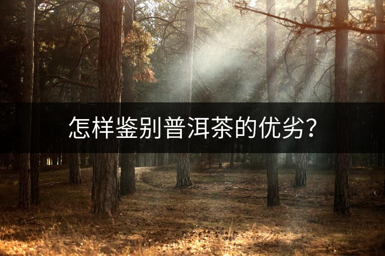 怎樣鑒別普洱茶的優(yōu)劣？