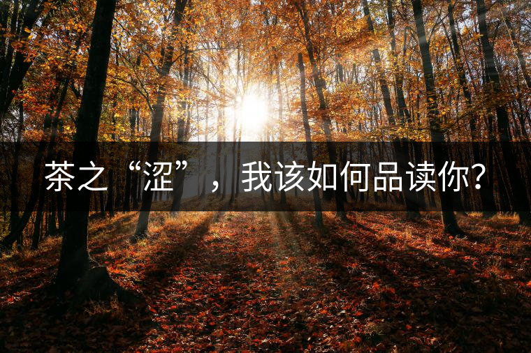 茶之“澀”，我該如何品讀你？