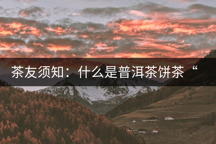 茶友須知：什么是普洱茶餅茶“八病”？如何鑒別？