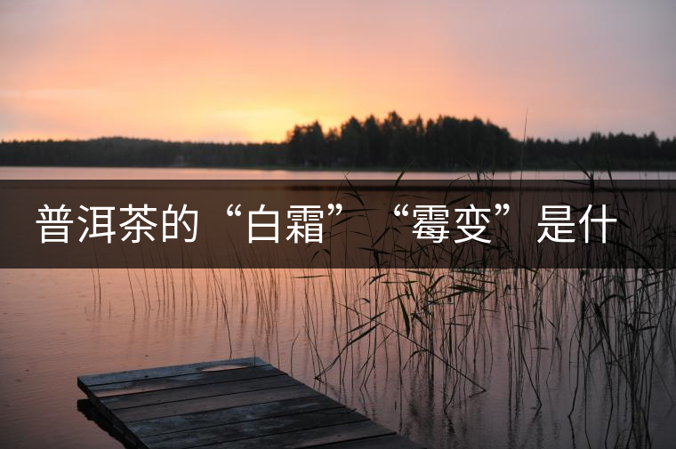 普洱茶的“白霜”“霉變”是什么鬼？