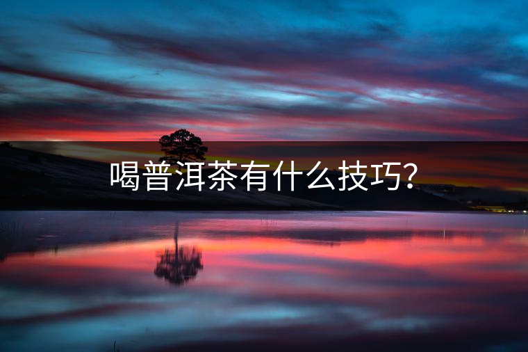 喝普洱茶有什么技巧？