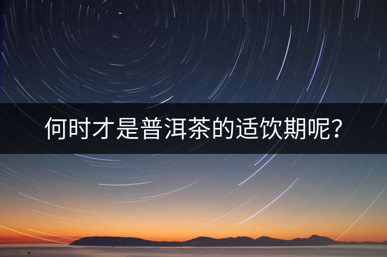 何時才是普洱茶的適飲期呢？