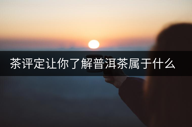 茶評(píng)定讓你了解普洱茶屬于什么茶系？