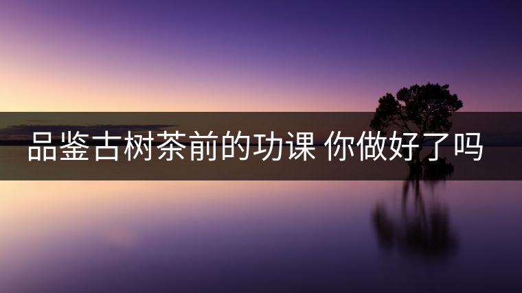 品鑒古樹茶前的功課 你做好了嗎？