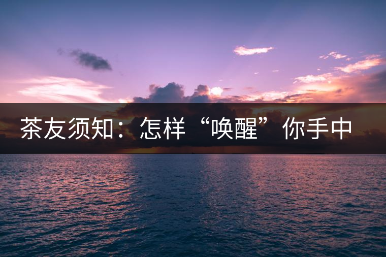 茶友須知：怎樣“喚醒”你手中的那一餅普洱茶？