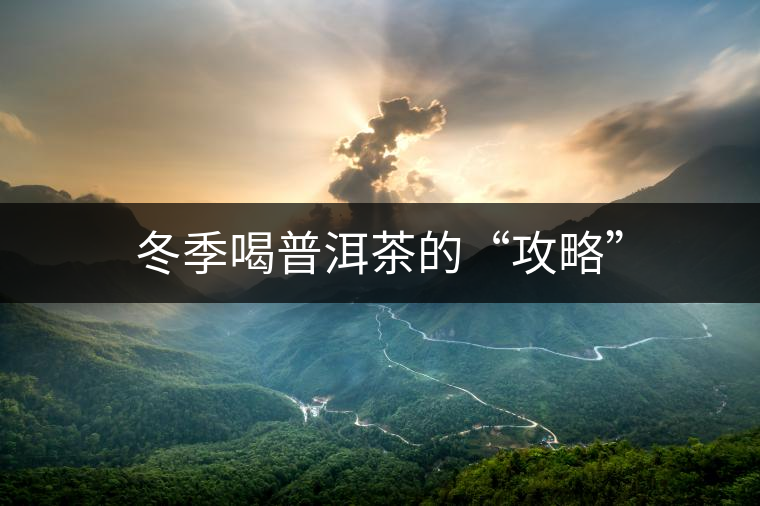 冬季喝普洱茶的“攻略”