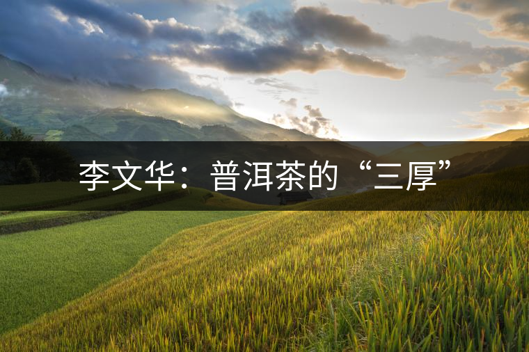 李文華:普洱茶的“三厚” 李文華:普洱茶的“三厚”