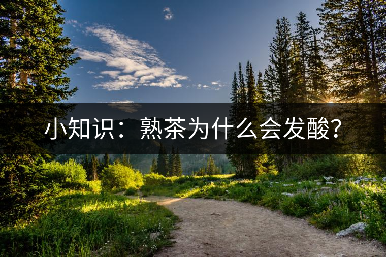 小知識：熟茶為什么會發(fā)酸？