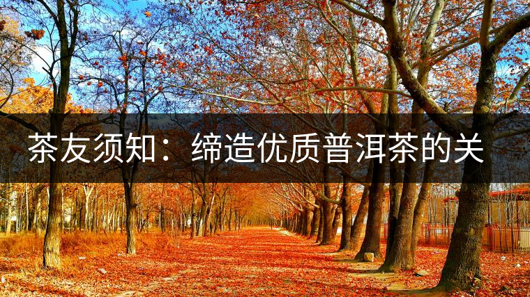 茶友須知：締造優(yōu)質普洱茶的關鍵