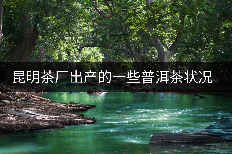 昆明茶廠出產(chǎn)的一些普洱茶狀況是怎樣？