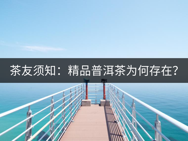 茶友須知：精品普洱茶為何存在？