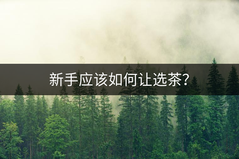 新手應(yīng)該如何讓選茶？