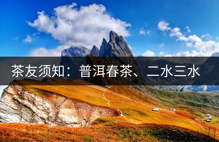 茶友須知：普洱春茶、二水三水茶和谷花茶