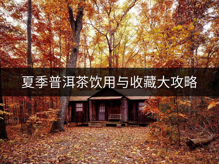 夏季普洱茶飲用與收藏大攻略 夏季普洱茶飲用與收藏大攻略