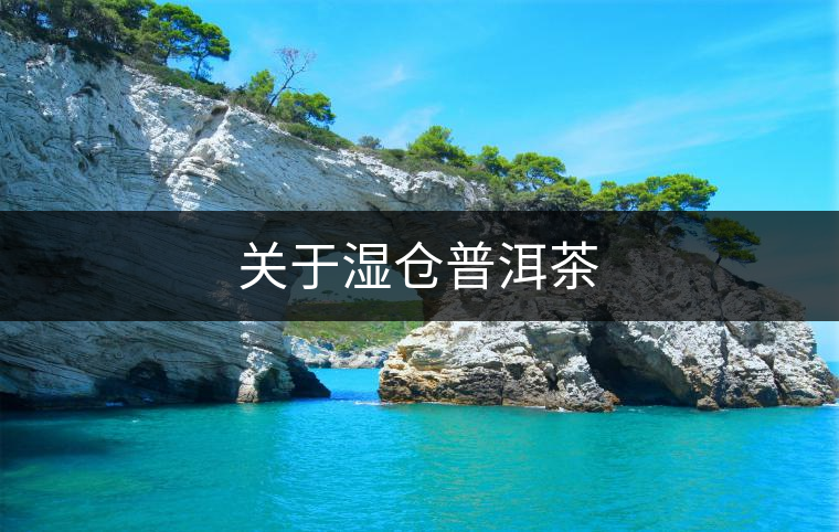 關(guān)于濕倉(cāng)普洱茶 關(guān)于濕倉(cāng)普洱茶