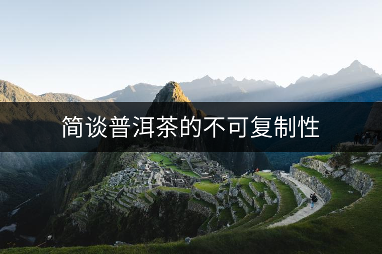 簡談普洱茶的不可復制性 簡談普洱茶的不可復制性