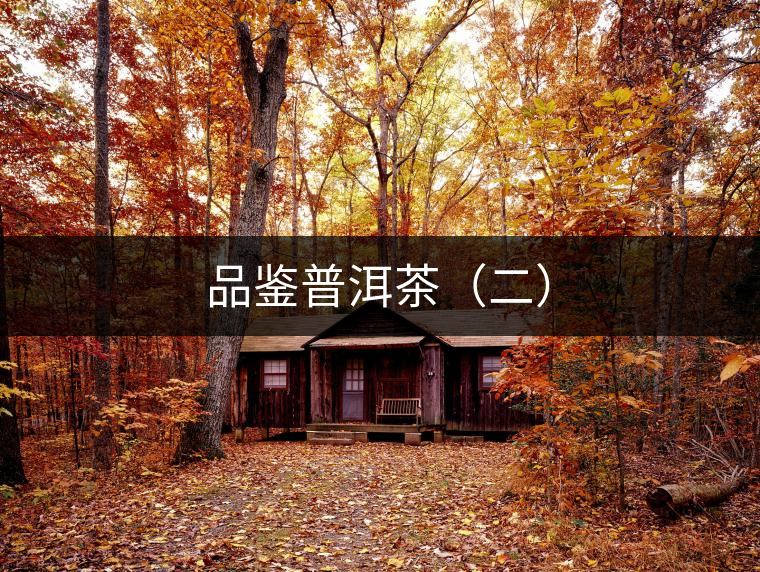 品鑒普洱茶(二) 品鑒普洱茶(二)