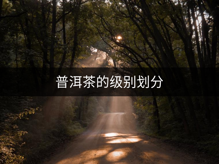 普洱茶的級別劃分