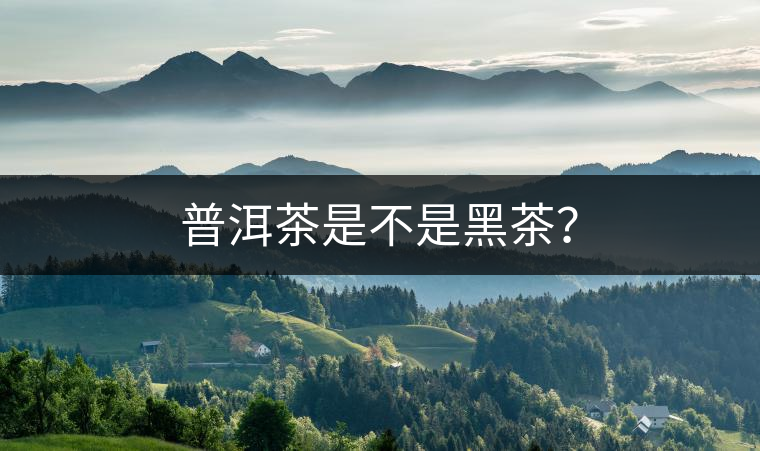 普洱茶是不是黑茶？