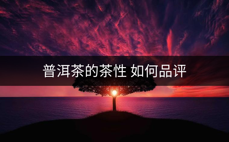 普洱茶的茶性 如何品評(píng) 普洱茶的茶性 如何品評(píng)