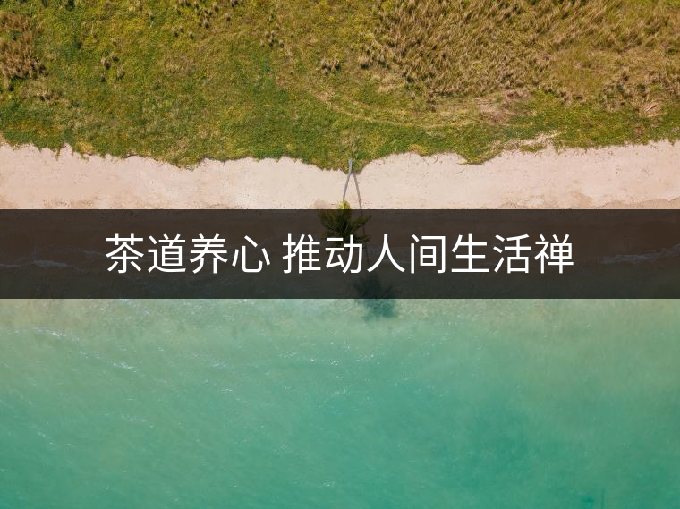 茶道養(yǎng)心 推動(dòng)人間生活禪 茶道養(yǎng)心 推動(dòng)人間生活禪