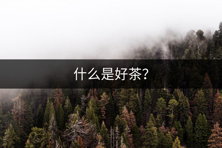 什么是好茶？