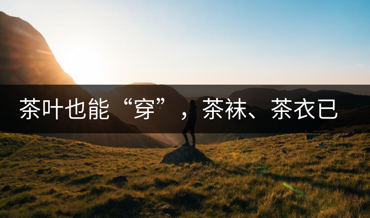 茶葉也能“穿”，茶襪、茶衣已進入研發(fā)階段