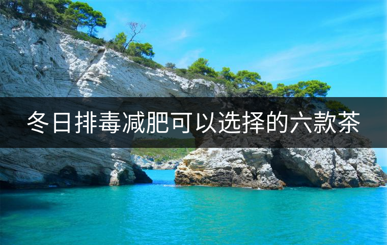 冬日排毒減肥可以選擇的六款茶