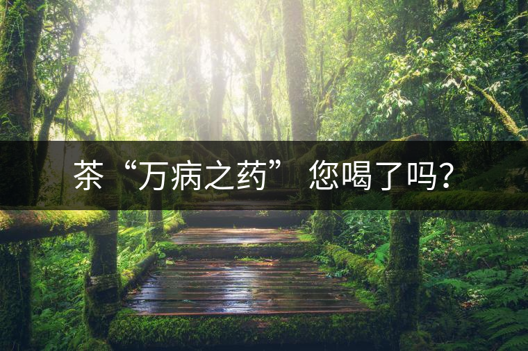 茶“萬(wàn)病之藥” 您喝了嗎？