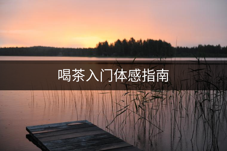 喝茶入門體感指南