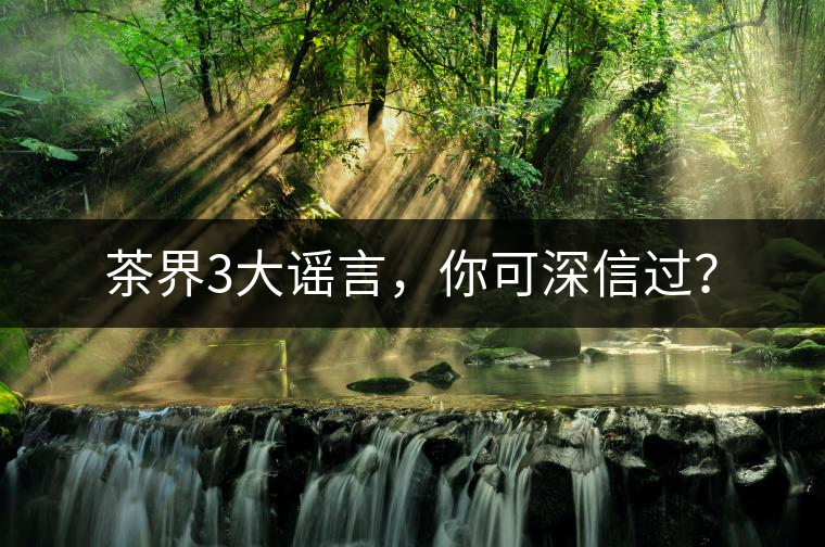 茶界3大謠言，你可深信過？