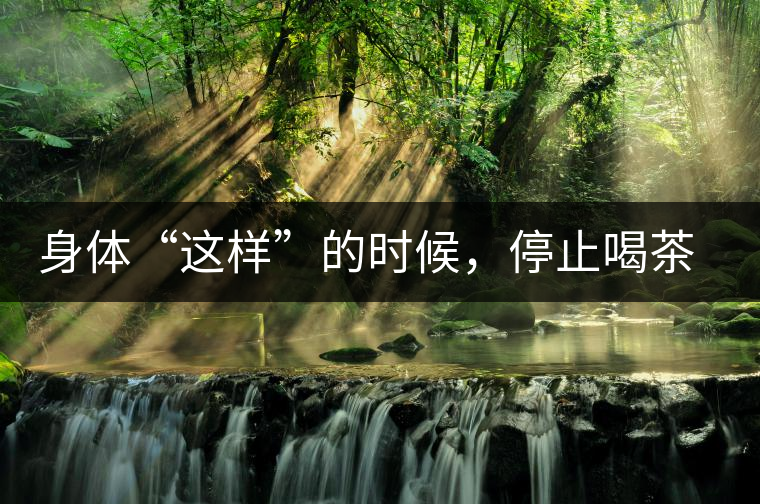 身體“這樣”的時(shí)候，停止喝茶！當(dāng)心好茶變“毒藥”！