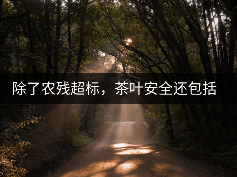 除了農(nóng)殘超標，茶葉安全還包括哪些方面？