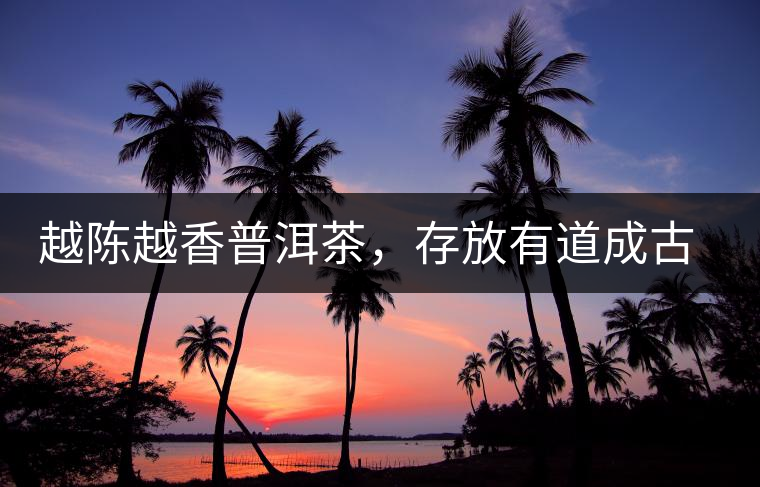 越陳越香普洱茶，存放有道成古董