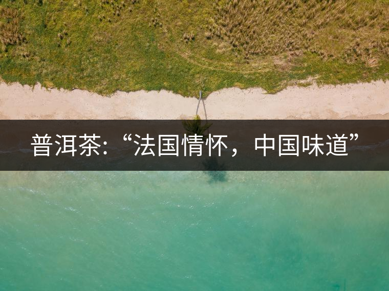 普洱茶:“法國(guó)情懷，中國(guó)味道”