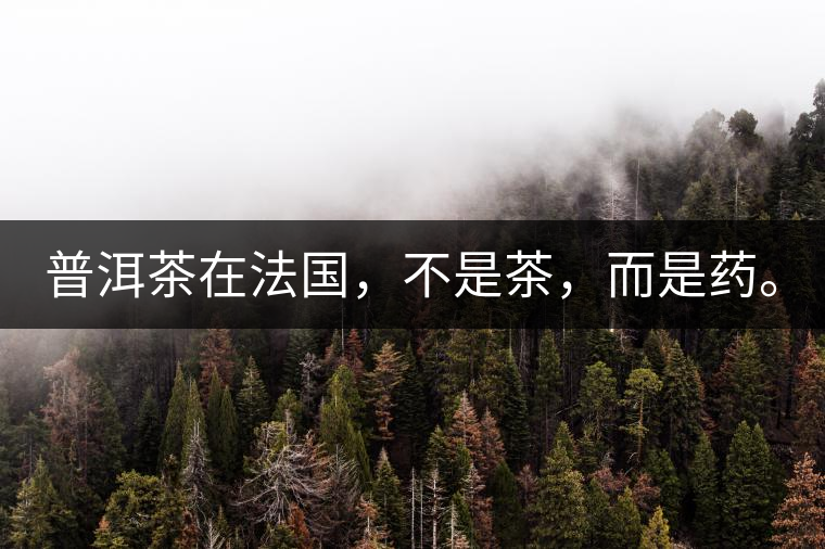 普洱茶在法國(guó)，不是茶，而是藥。