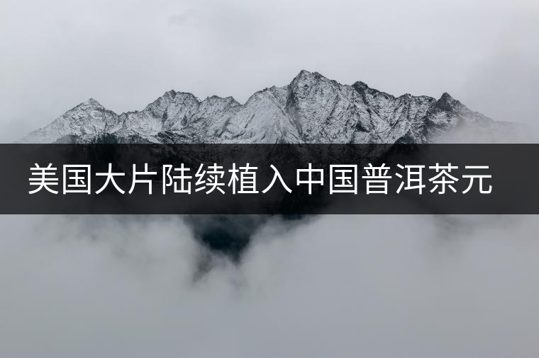 美國(guó)大片陸續(xù)植入中國(guó)普洱茶元素 美國(guó)大片陸續(xù)植入中國(guó)普洱茶元素