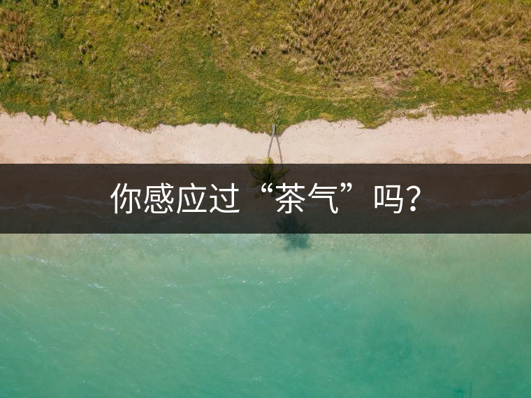 你感應(yīng)過(guò)“茶氣”嗎？