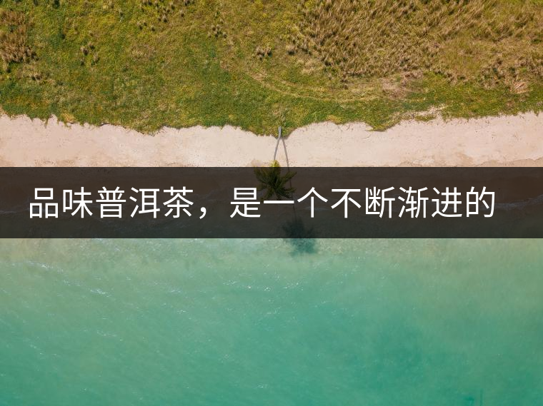 品味普洱茶，是一個(gè)不斷漸進(jìn)的過(guò)程