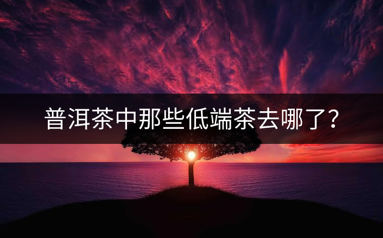 普洱茶中那些低端茶去哪了？