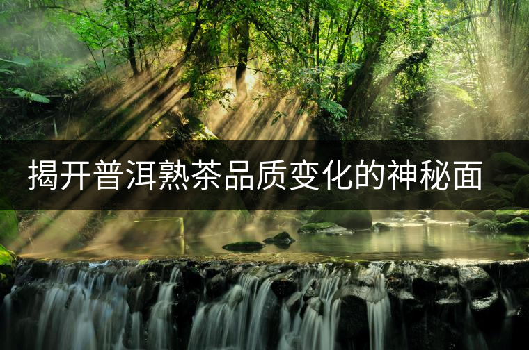 揭開(kāi)普洱熟茶品質(zhì)變化的神秘面紗 揭開(kāi)普洱熟茶品質(zhì)變化的神秘面紗