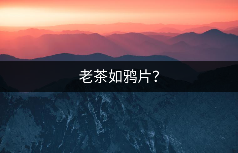 老茶如鴉片？