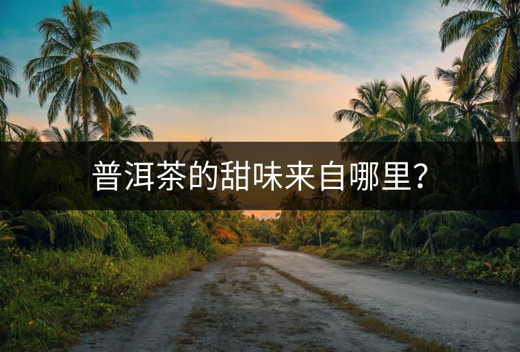 普洱茶的甜味來(lái)自哪里？