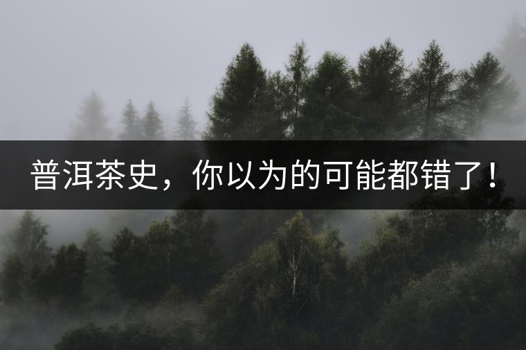 普洱茶史，你以為的可能都錯了！
