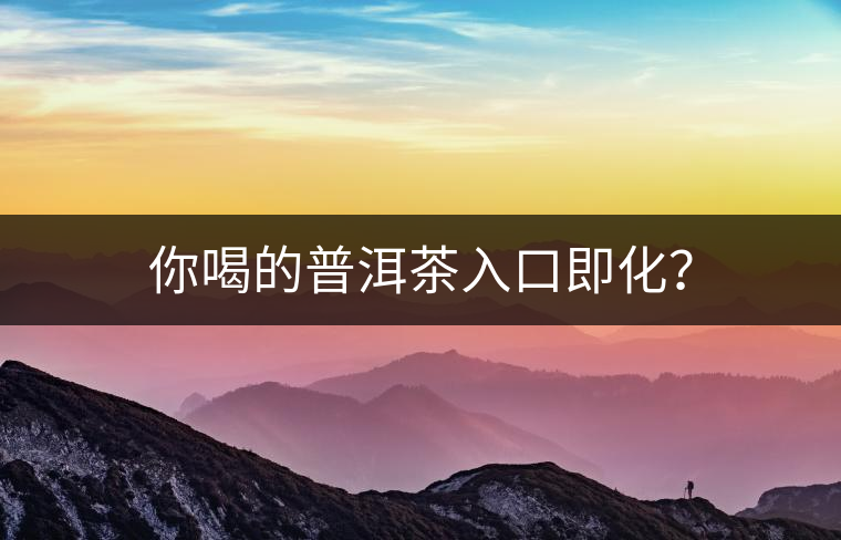 你喝的普洱茶入口即化？