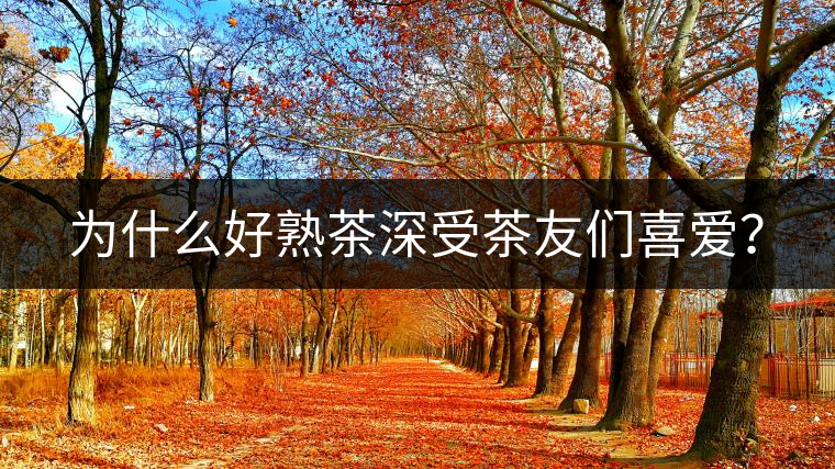 為什么好熟茶深受茶友們喜愛？